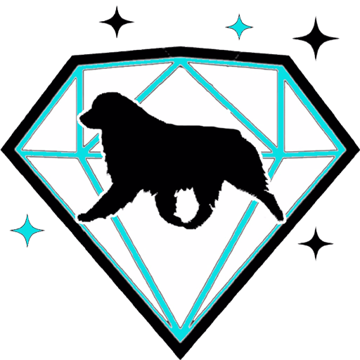 Des_Soldats_de_Krist_Ale_logo_favicon